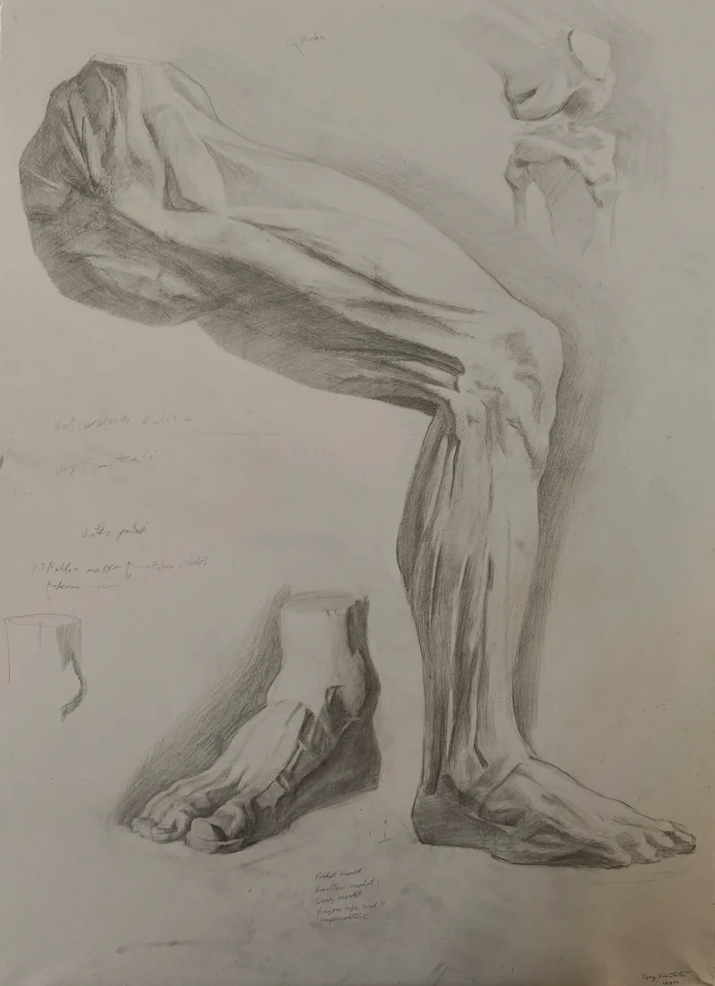 Anatomy Study