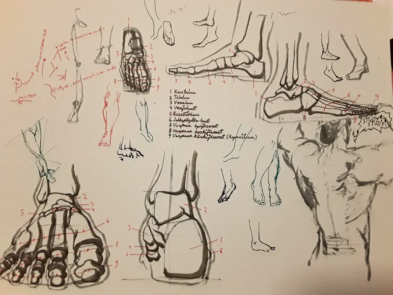 Foot Study